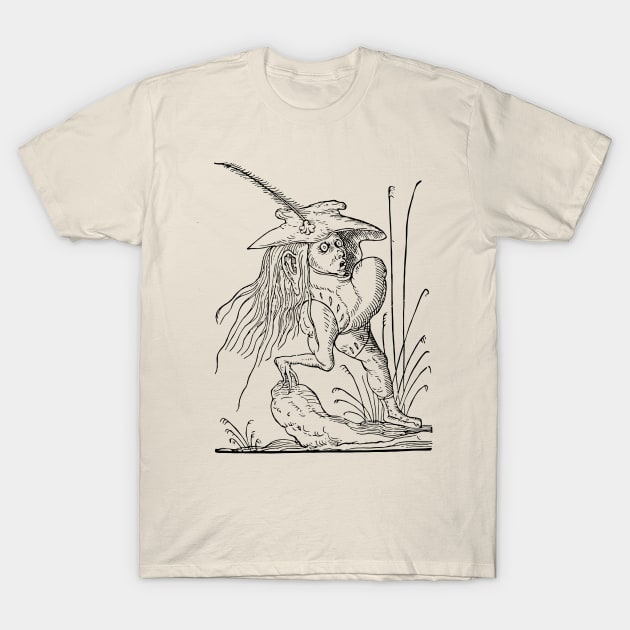 Grotesque #14 The Drolatic Dreams of Pantagruel (1565) T-Shirt by n23tees